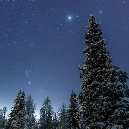 In Lapland - Rukakorpi 4